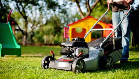landscaping dallas