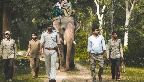 van vibhag bharti apply online