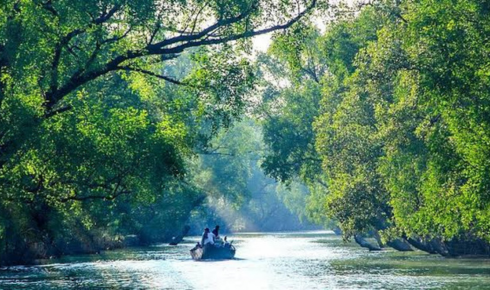 Sundarban tour