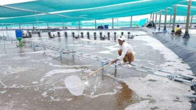 pond applications